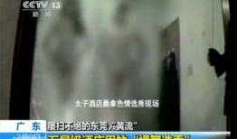 淫黄视频,揭秘淫黄视频背后的黑暗世界