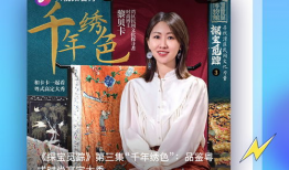 n视频,揭秘其独特魅力与精彩瞬间