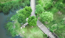 打野视频武汉公园,探寻城市绿洲中的野趣时光